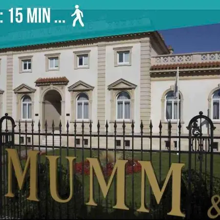 Apartment Le Petit Brossolette - T1 - 500m2 Gare Centre *